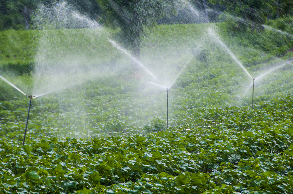 Irrigation System