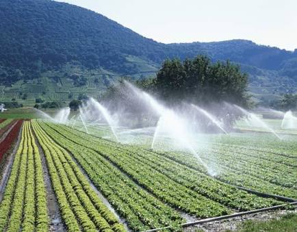 Field sprinkling